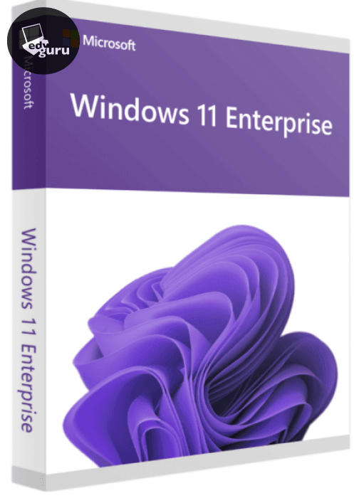 Windows 11 Enterprise Software