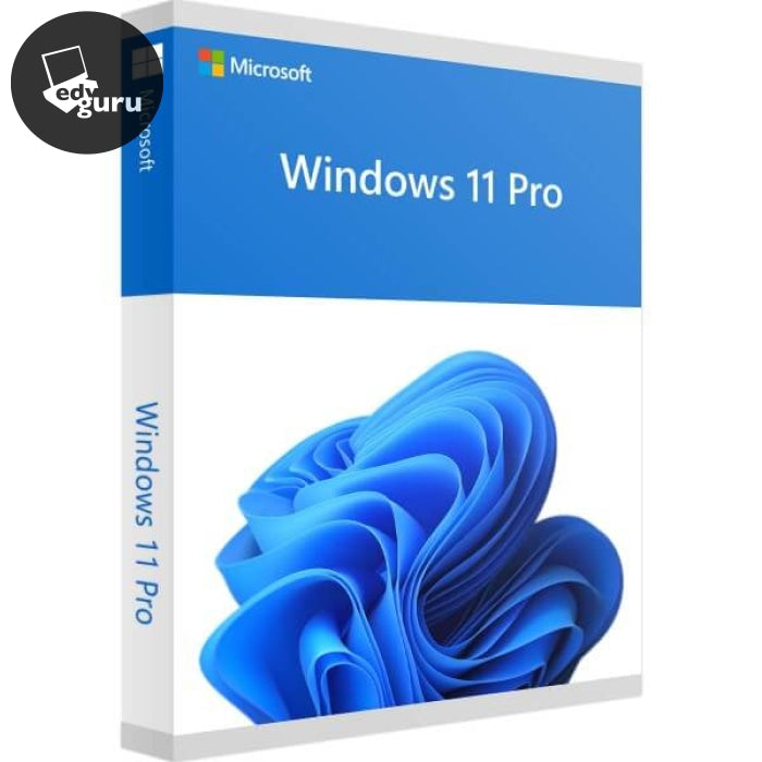 Windows 11 Professional Software